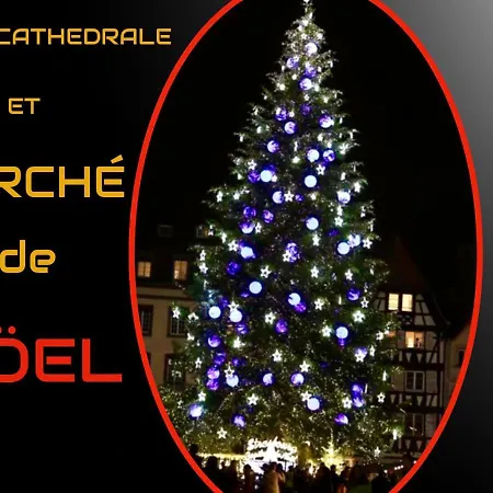 Daire Lumineux Classe Au Coeur De Strazburg