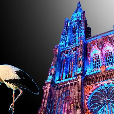 Lumineux Classe Au Coeur De * Strasbourg